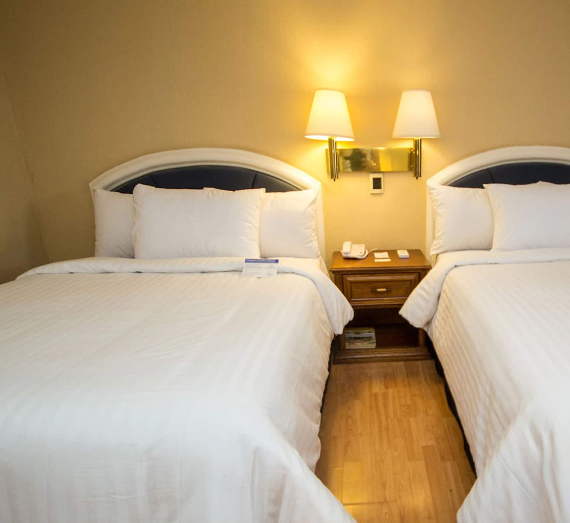 Hotel Gran Plaza & Convention Center Гуанахуато Экстерьер фото